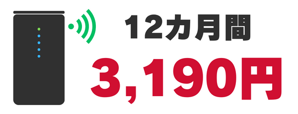 12カ月間3,190円